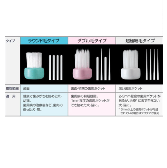 ペットキッス® ベッツドクタースペック デンタルブラシ｜vet-i-ch