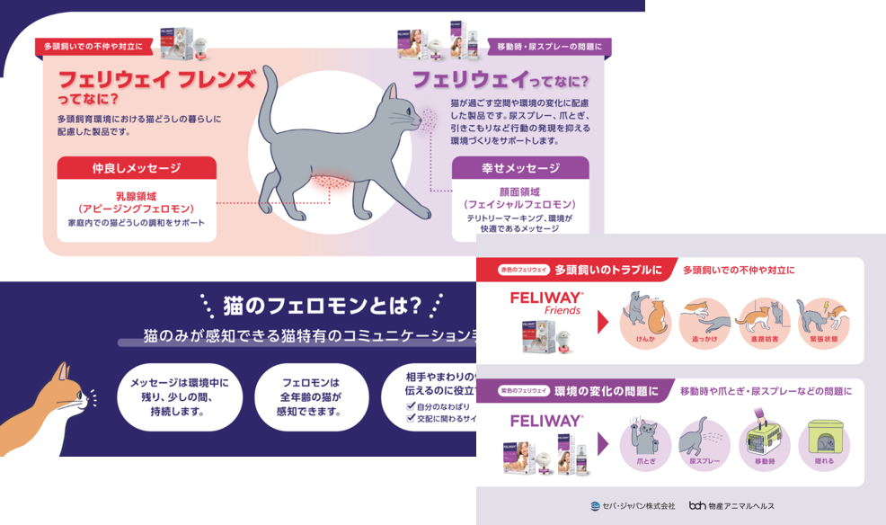 【下敷き】フェリウェイとフレンズの違い