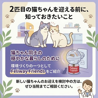 フェリウェイフレンズ 飼い主さま啓発用LINEコンテンツ