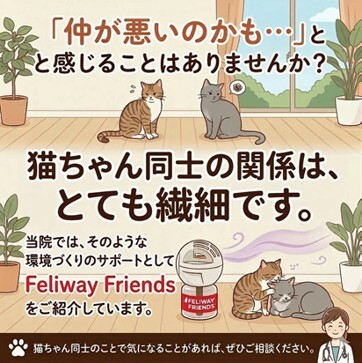 フェリウェイフレンズ 飼い主さま啓発用LINEコンテンツ