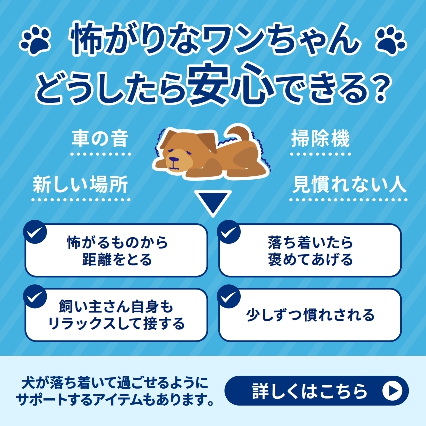 アダプティル 飼い主さま啓発用LINEコンテンツ
