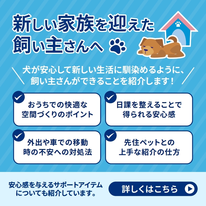 アダプティル 飼い主さま啓発用LINEコンテンツ