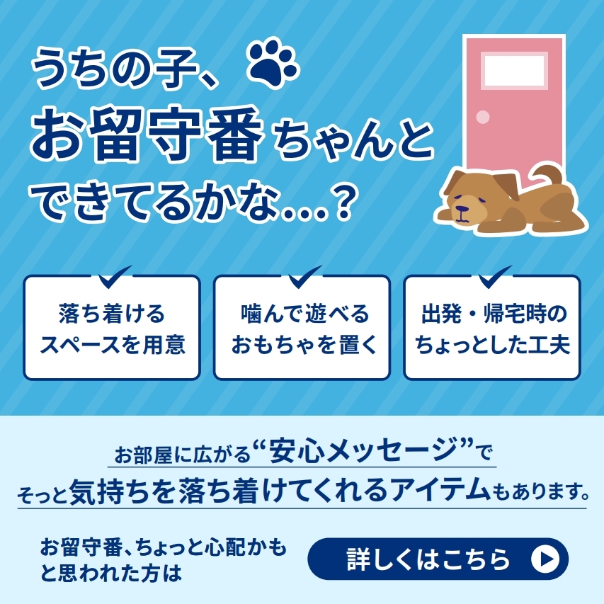 アダプティル 飼い主さま啓発用LINEコンテンツ