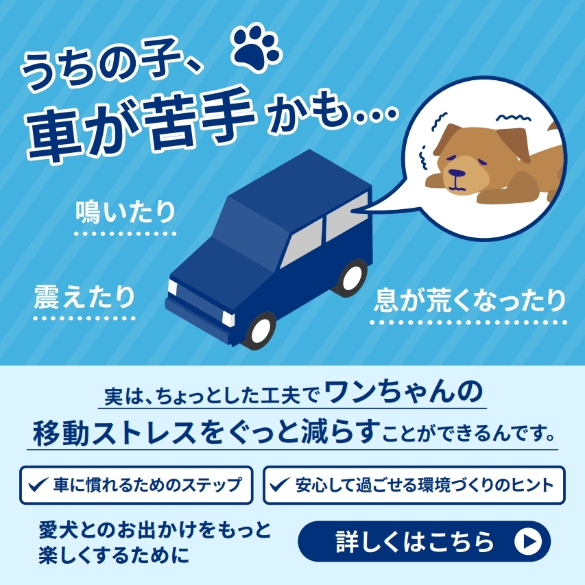 アダプティル 飼い主さま啓発用LINEコンテンツ
