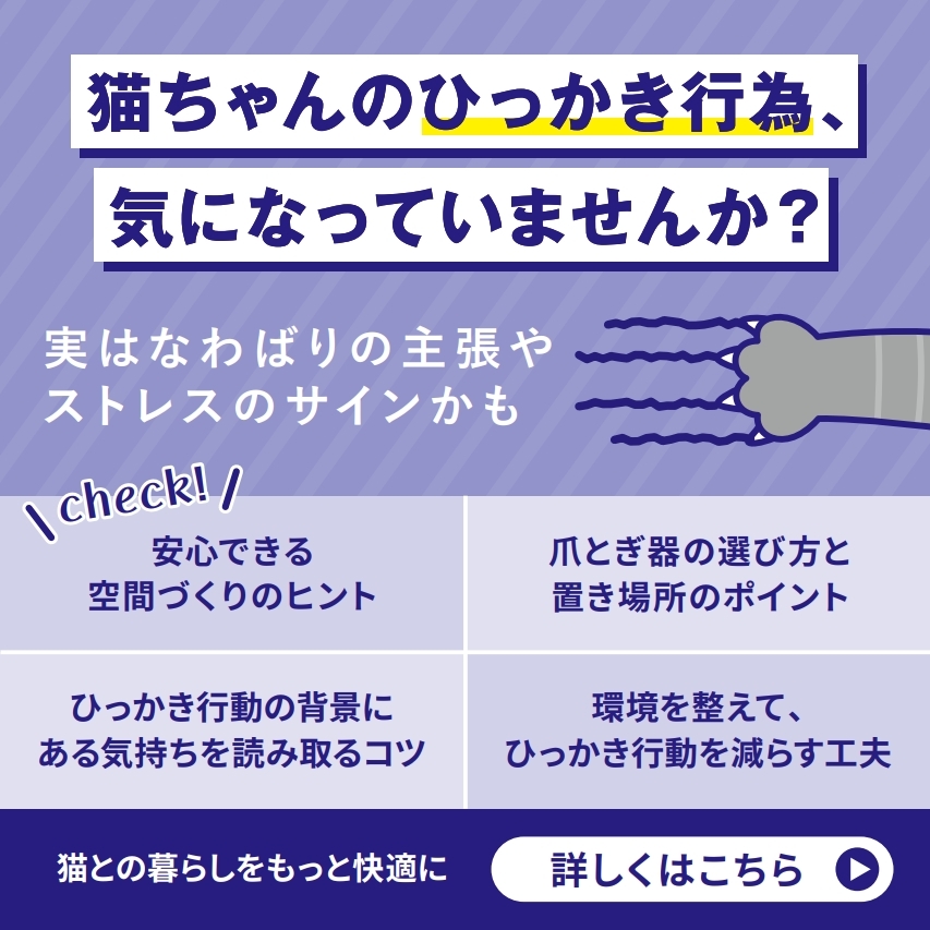 フェリウェイ 飼い主さま啓発用LINEコンテンツ