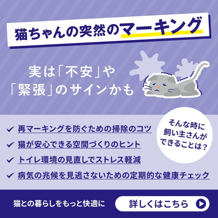フェリウェイ 飼い主さま啓発用LINEコンテンツ
