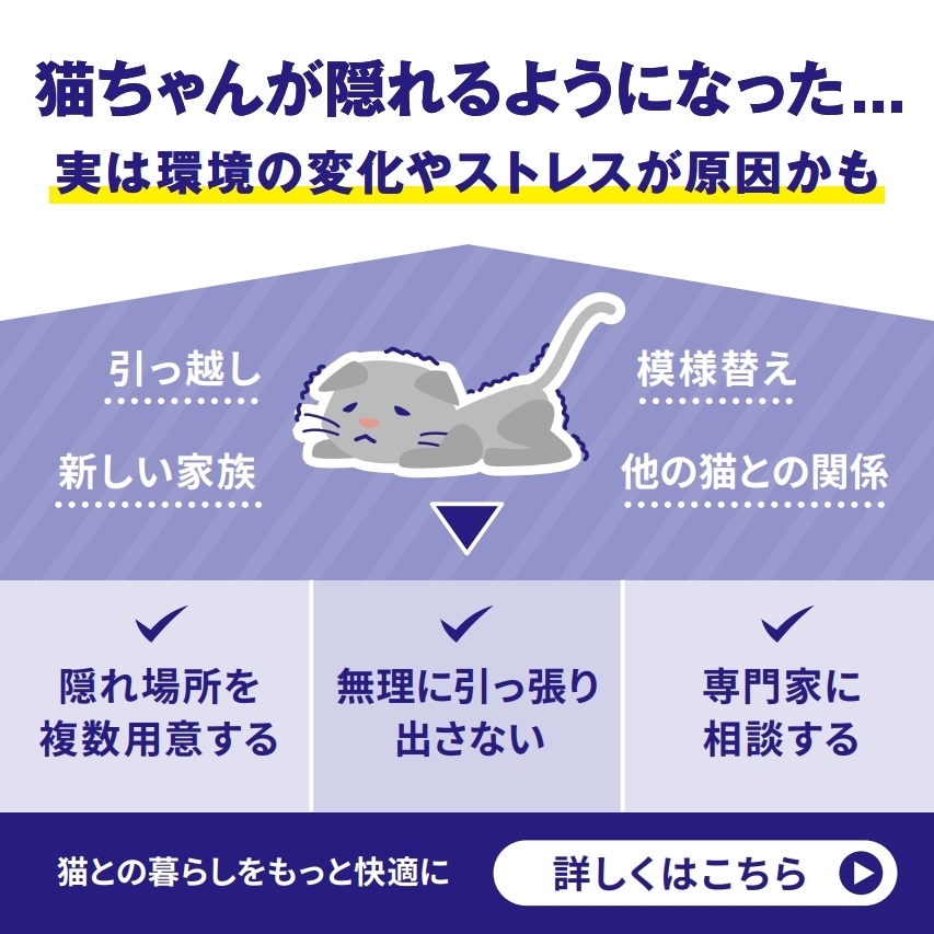 フェリウェイ 飼い主さま啓発用LINEコンテンツ