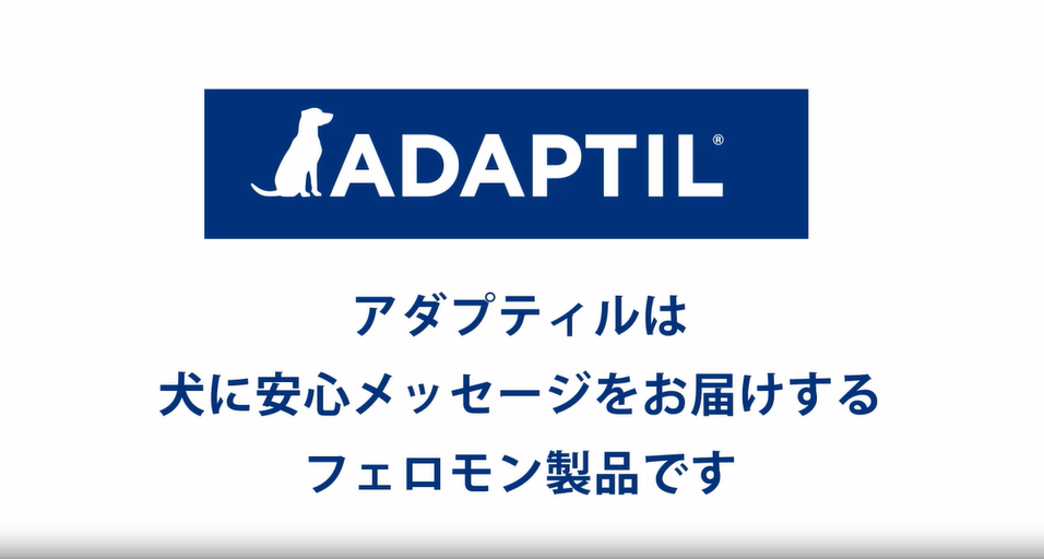 【動画】アダプティル フェロモンの伝達方法（2分13秒）