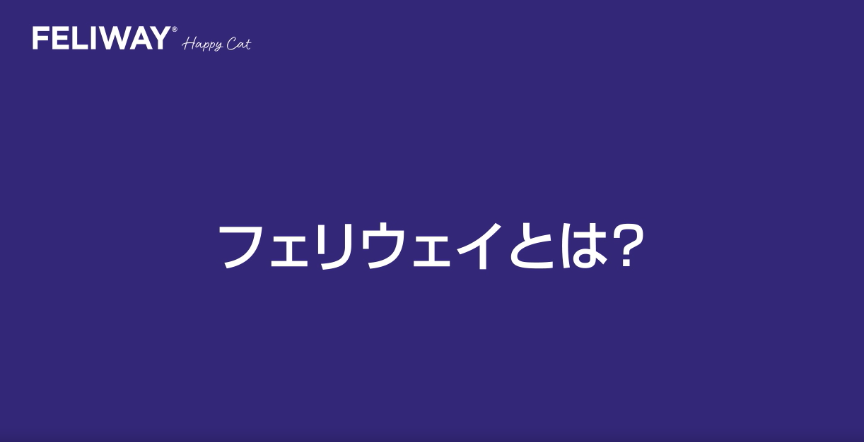 【動画】フェリウェイとは？（1分23秒）
