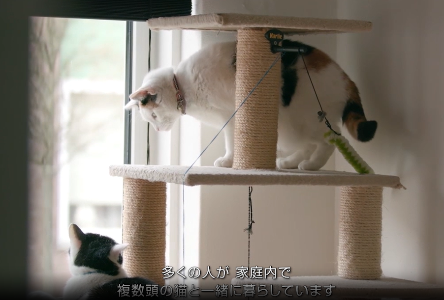 【動画】フレンズ　製品説明（1分23秒）