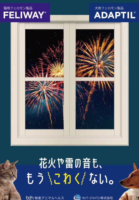 【ポスター】花火や雷ももうこわくない。