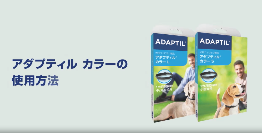 【動画】アダプティル カラー使用方法（50秒）
