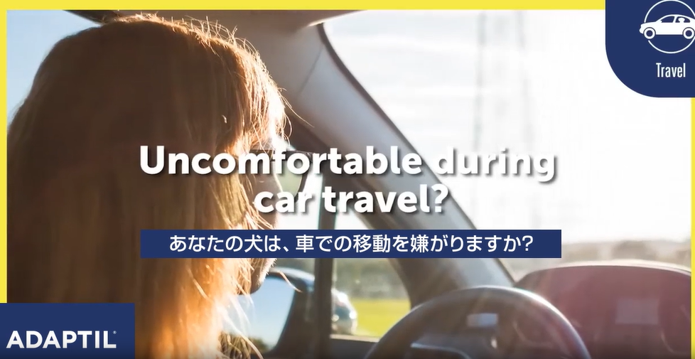 【動画】アダプティル 車での移動（15秒）