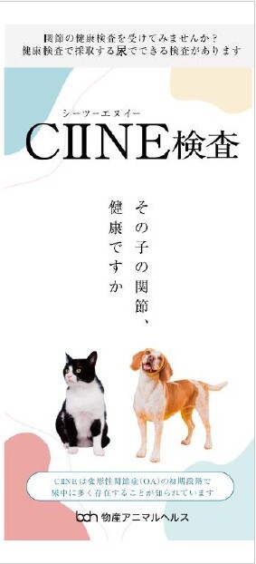 CIINE シーツーエヌイー リーフレット