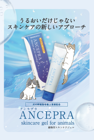 アンセプラ製品紹介リーフレット