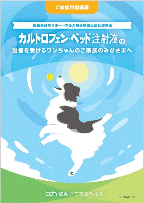 カルトロフェン・ベット注射液の治療を受けるワンちゃんのご家族のみなさまへ