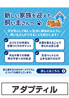 アダプティル　LINE向けコンテンツ
