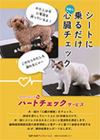 ハートチェック広告A4