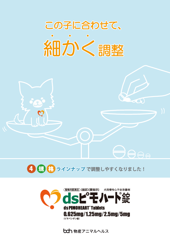 dsピモハート錠 製品パンフレット
