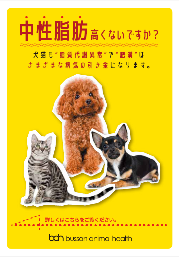エネアラ ご家族さま向け脂質代謝腎機能啓発リーフレット