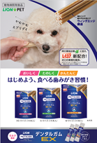 デンタルガムEX_オーナーさま向けリーフレット