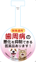 インターベリーα保険適用可POP