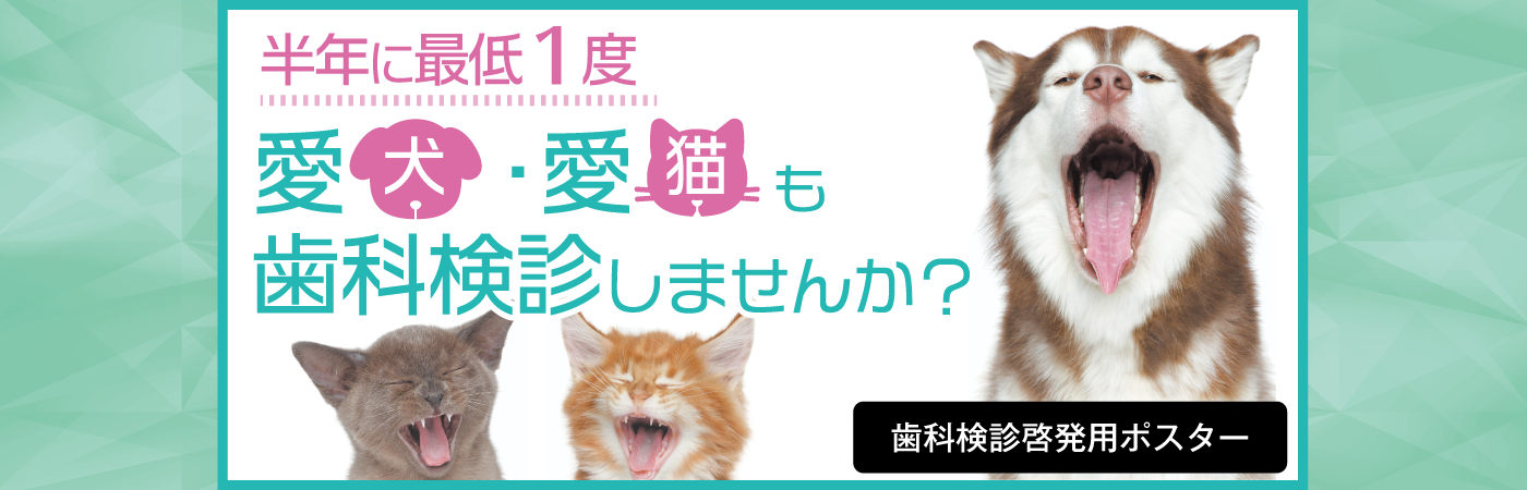 vets_posterA