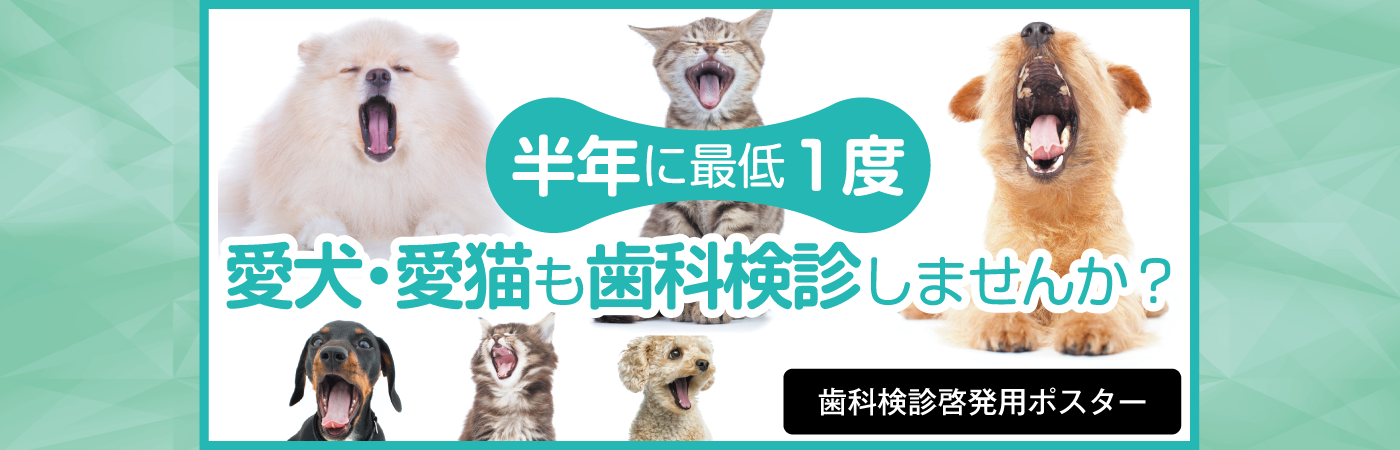 vets_posterB