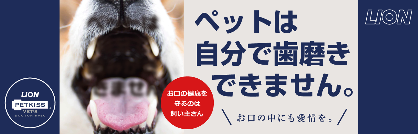 vets_posterD