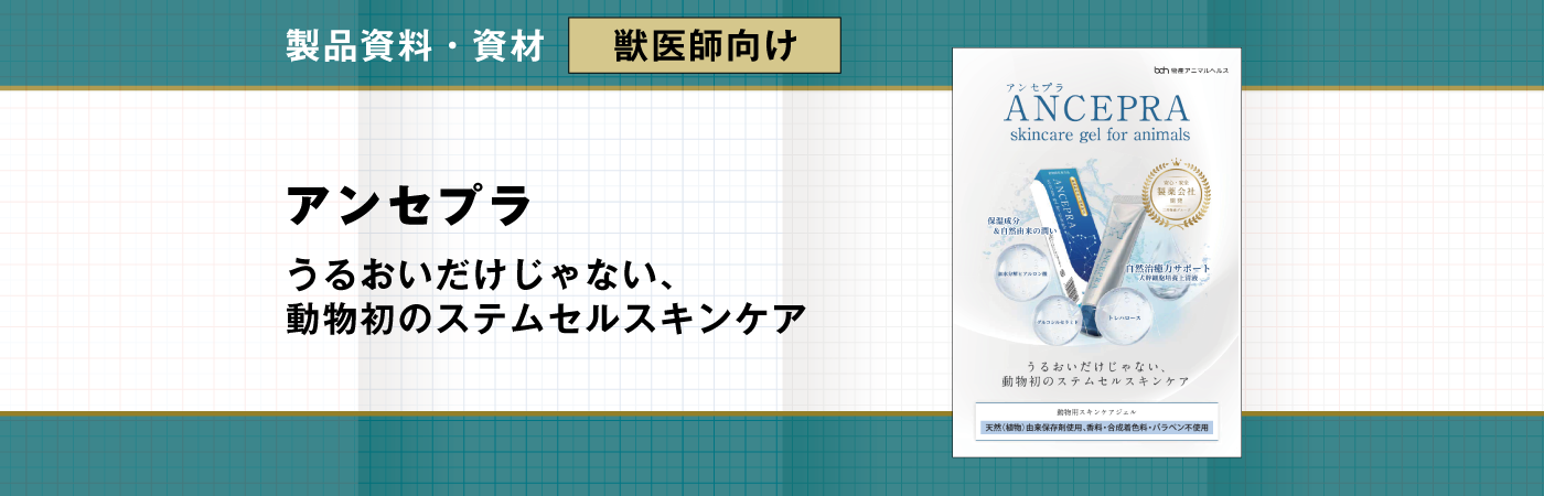 dr_ancepra01