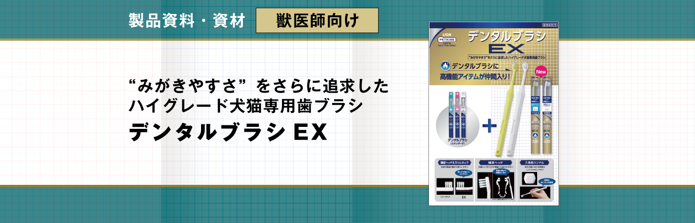 dr_vets_dbex_01