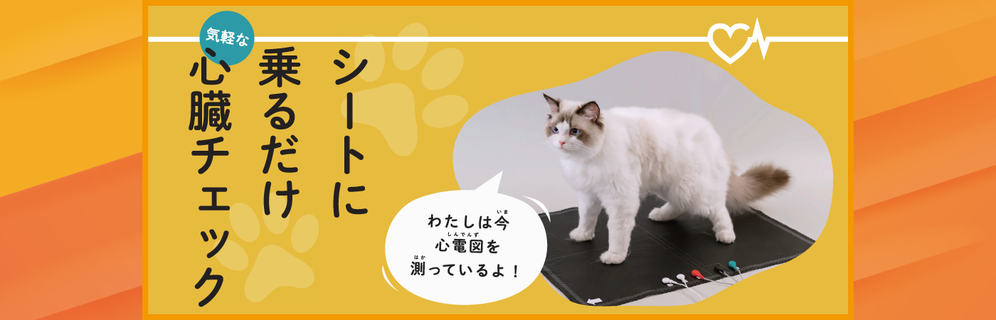 poster_heart-check_cat