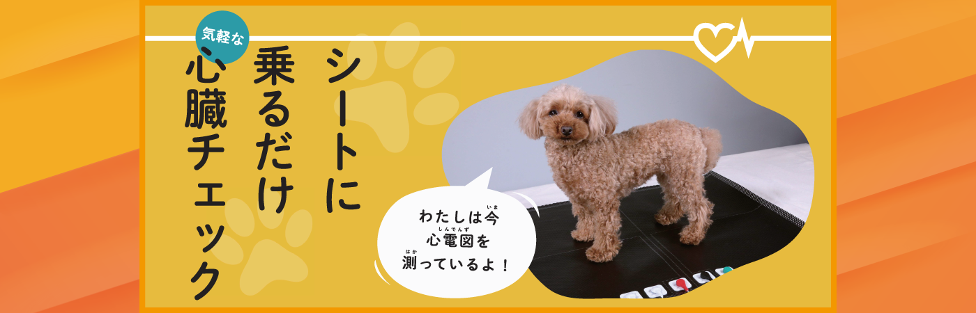 poster_heart-check_dog