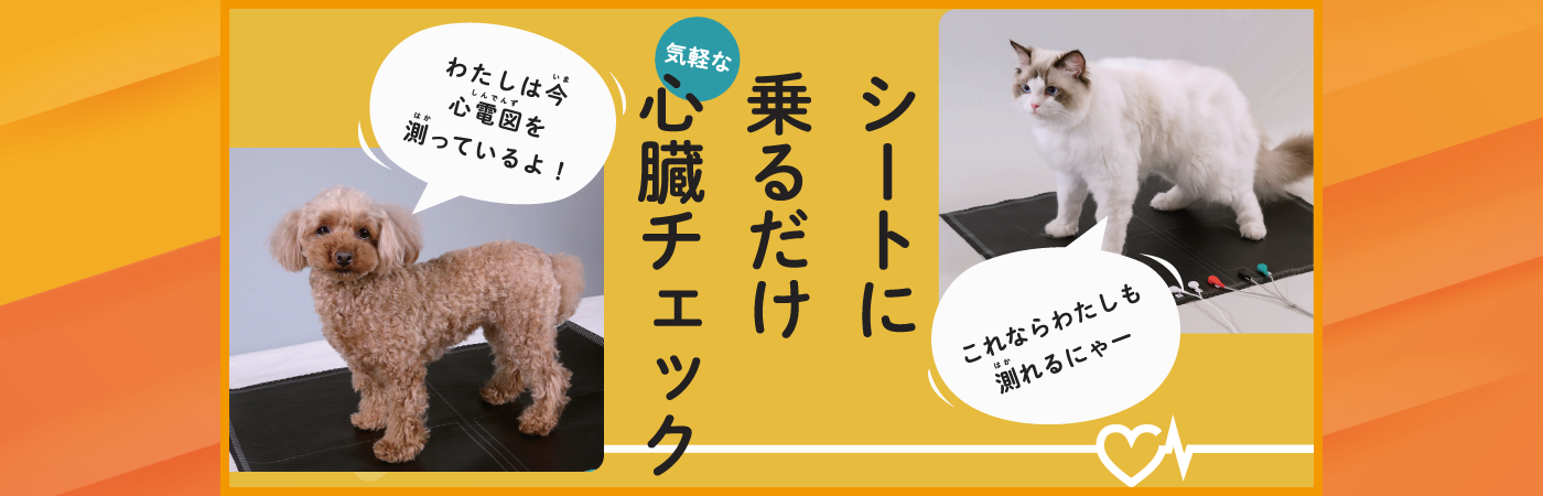 poster_heart-check_dog_cat