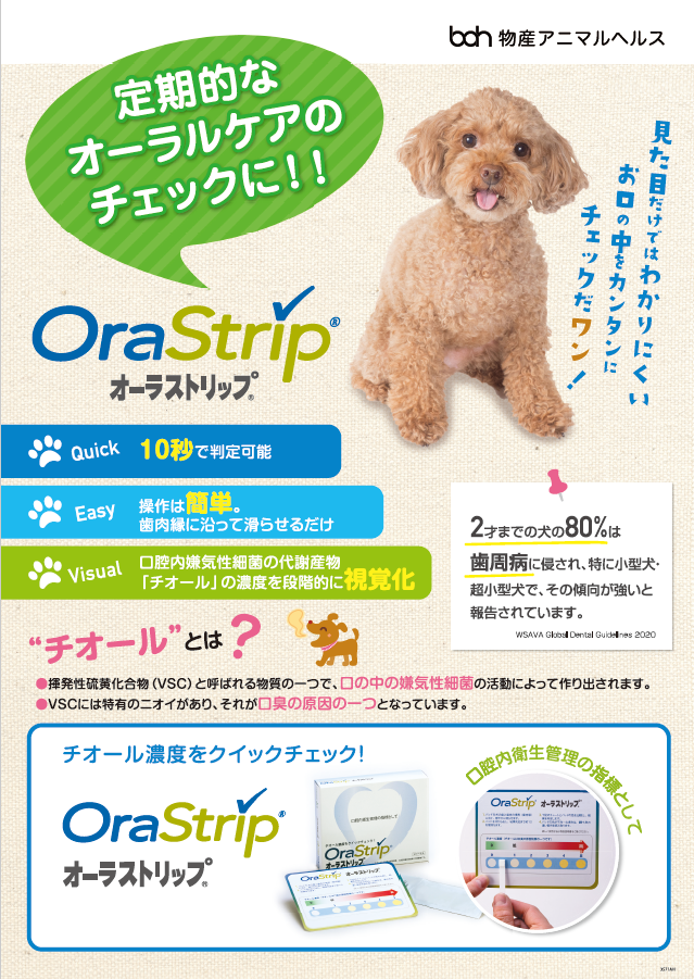 オーラストリップ院内ポスターA3