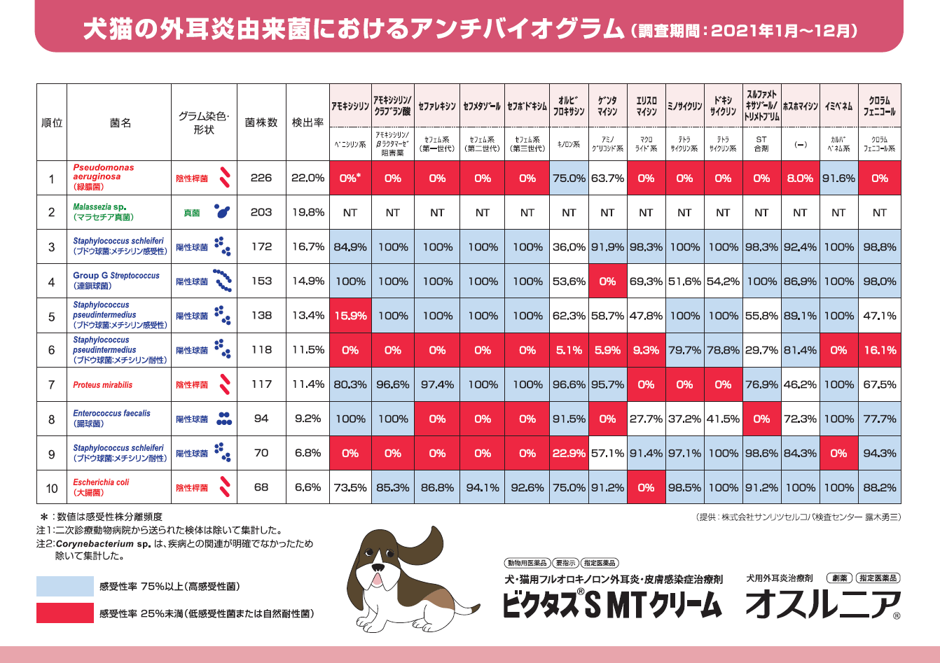 外耳炎アンチバイオグラム下敷き