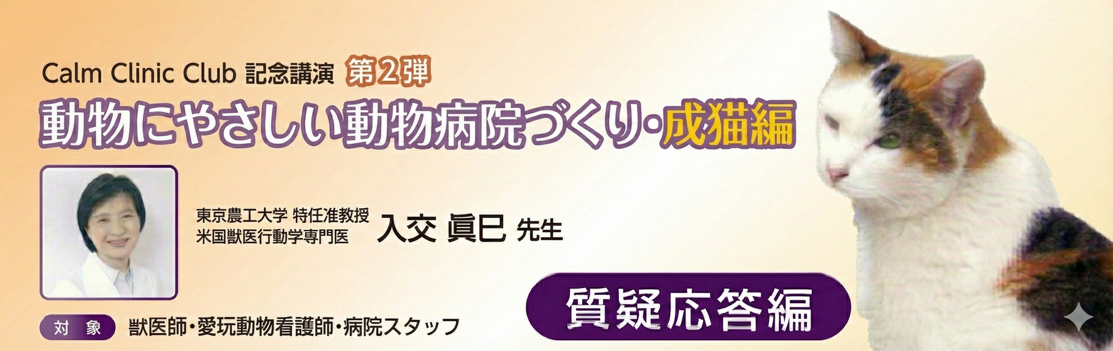 seinekohen_situgioutou