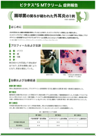 ビクタスS MTクリーム症例報告腸球菌