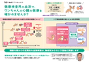 NT-proANP心臓疾患下敷き